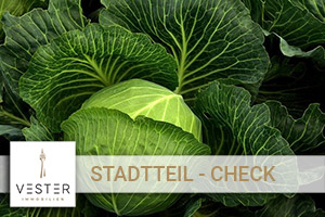 Vester-Immobilien-Duesseldorf-Immobilienmakler-Duesseldorf--Stadtteile-33